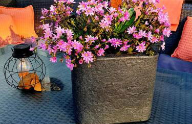 2 Zimmer Domizil am Südhang mit Terrasse und Pool - Foto 27