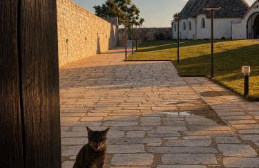 Masseria Surace - Foto 40