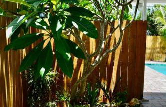 Tropical Retreat Near Beaches, Cruise Terminals - Foto 37