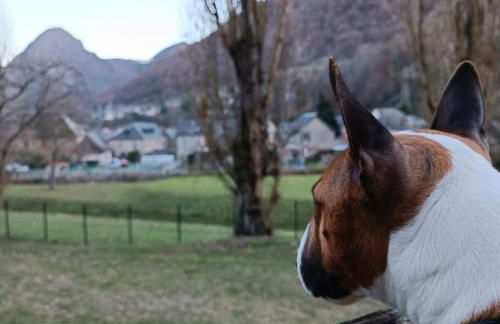 CHALET 4 Le Cerf - Foto 14