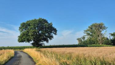 Ferienwohnung bei Nebel in Mandelsloh - Foto 3