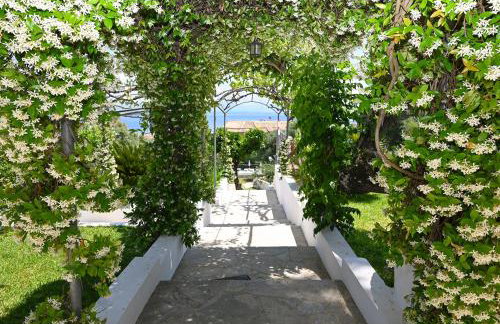 Gina Studios - Foto 48