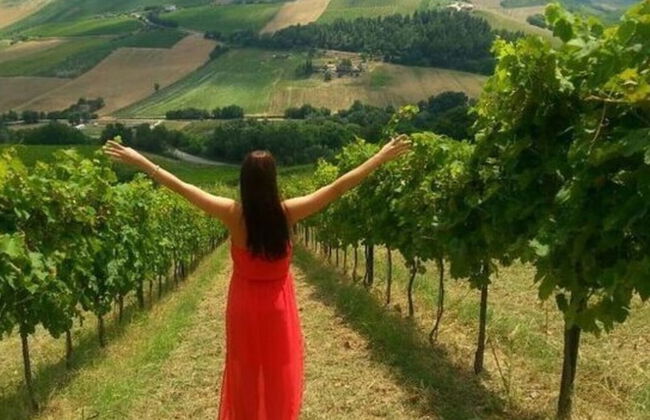 Cypressa Modern Retreat - Foto 15