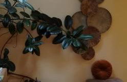 Ferienwohnungen St Hippolyt mit Hallenbad - Foto 31