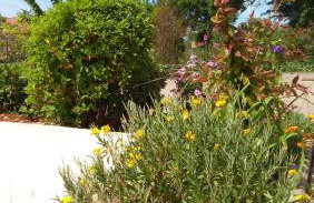 Apartman La maison - Foto 49