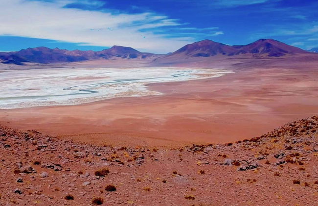 Day Trip to the Huasco Salt Flats + Tambillo - Photo 4