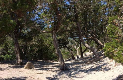 Villa Antonella - Photo 42