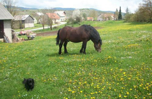 House Veljko - Foto 32