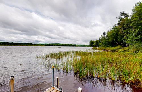 The Pinecone - Foto 20