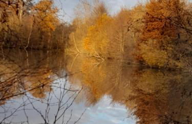 Chateau Chandler 17eme, Vallee de la Loire, Sologne, Centre Val de Loire - Foto 20