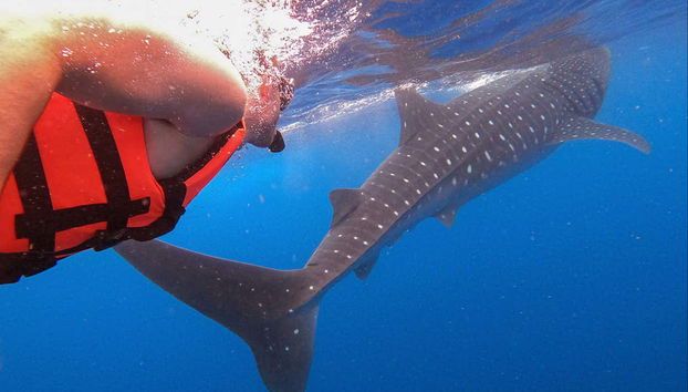 Será inesquecível!