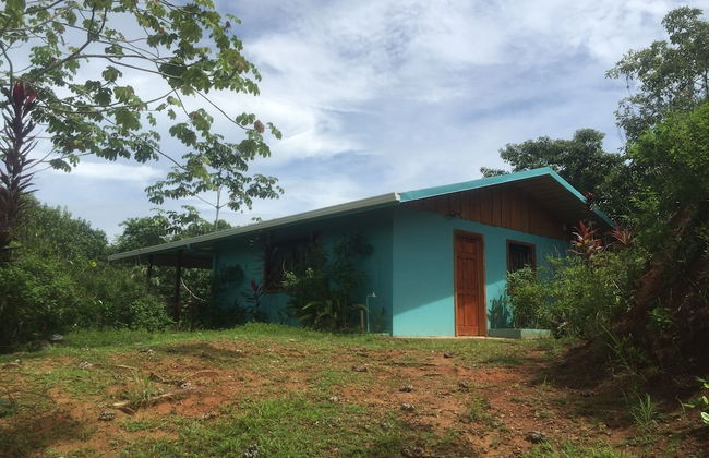 Room-villa With Primary Forest View - Foto 9