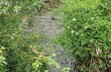 As Casinhas de Santo Ovidio - Foto 24