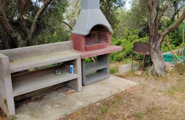 Villa del Palmeto - Foto 51