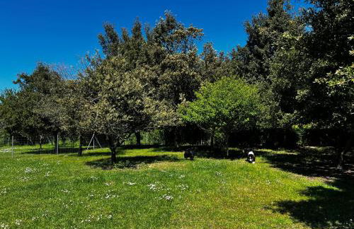 Le Mas de Scott - Foto 13