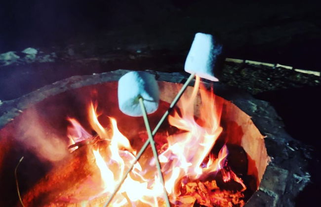 Glamping Bosques del Moral - Foto 9