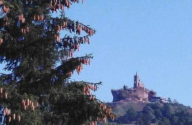 Le Gite Du Bucheron - Photo 8