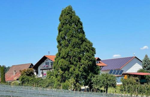 Bergchalet Mirabell - Hofgut - Foto 47