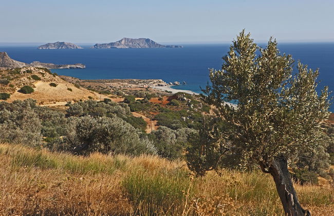 Vrachos Villas - Photo 55