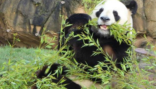 Gîtes à l'ombre des chênes - Photo 5, Other