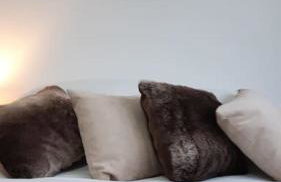 Free Parking Spacious Home - Photo 11