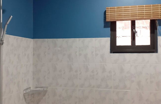 Max Garden and Pool - Photo 42