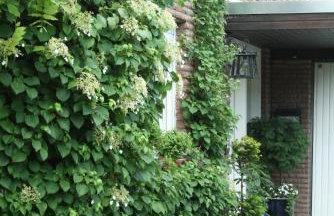 Ferienwohnung Illerhues - Foto 6