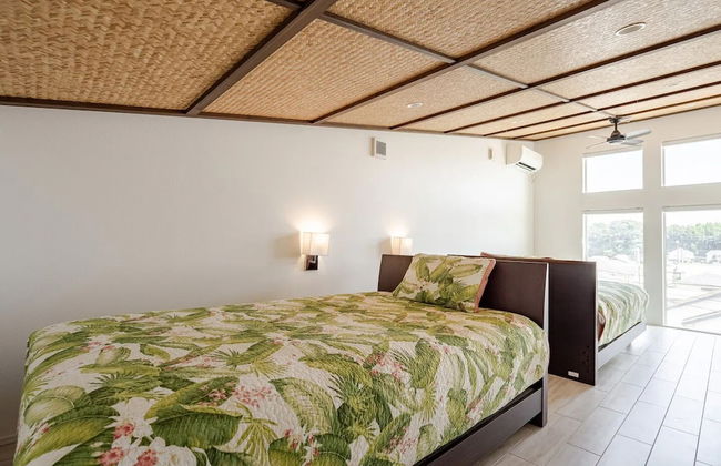 Hale Kotsubo - Foto 5