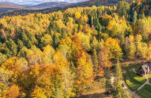 Domek w lesie DiABELSKi KOCiOŁEK - Foto 9