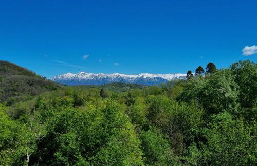 "Rosa di sera" - Relax in Toscana con Spa privata - Foto 38