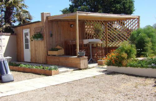 La ciboulette - Foto 7