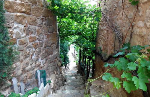 La caseta de Pedris - Foto 19