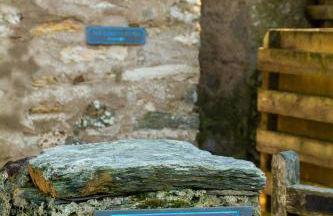 Cabbage Patch - Foto 15