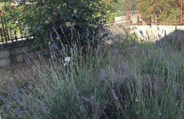 Villa lavanda - Foto 34