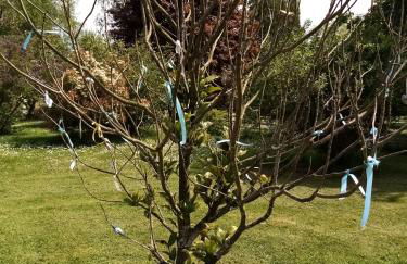 PETIT APPARTEMENT 30M2, 3 lits, de 1 à 4 pers - Foto 50