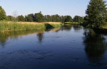 Siedlisko Nasza Chata - Foto 32