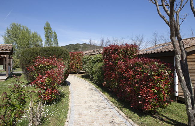 Domaine de Sévenier Micocoulier - Foto 31