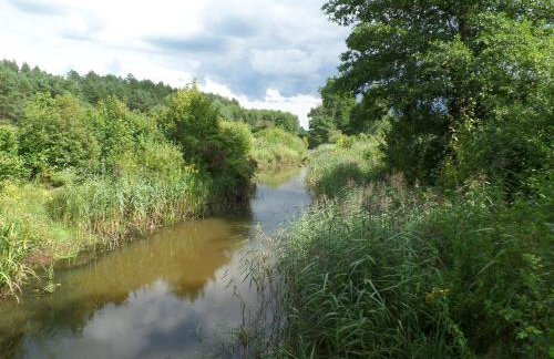 Dom w Gruszkach - Puszcza Białowieska - Foto 39