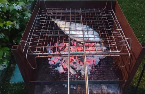Umbria Valnerina , Il TARTUFFO, sulla via di Francesco - Photo 40