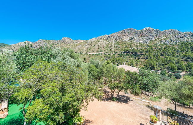 Sa Tarongera in Andratx - Foto 28