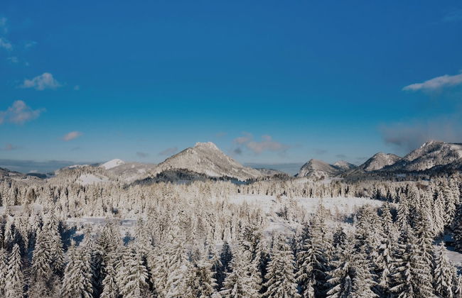 Alpin Lodges - Photo 44