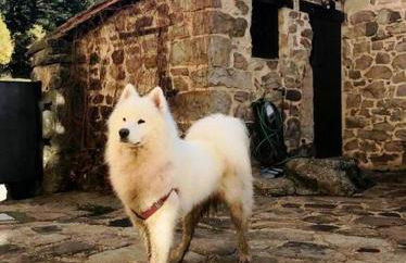 Casa con encanto LagunaNegra y Urbion - Foto 22