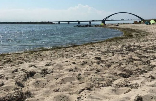 Fischerhus Fehmarn Comfortable Holiday Residence - Photo 22