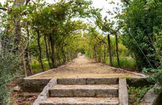 Quinta da Bemposta - Foto 32