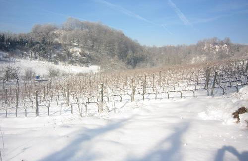 Agriturismo Villa Le Vigne - Foto 53