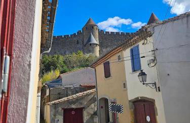 CITE MEDIEVALE- LE REMP'ART - 3 Chambres Tout Confort-au pied de la Cité- Accès direct piétons - parking gratuit - Foto 11