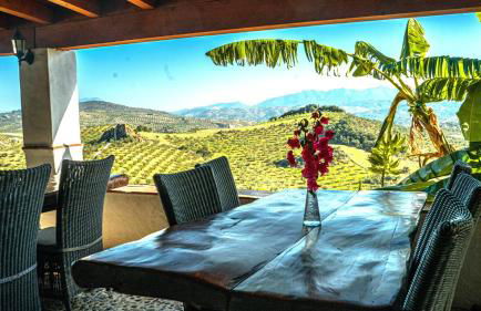 Rural cottage VINCENT van Gogh, with spectacular pool & OPTIONAL private 6 guests jacuzzi - Foto 73