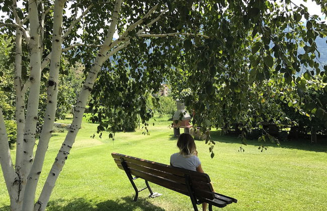 B&B Verger Plein Soleil - Foto 74