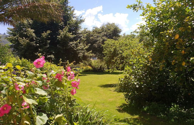 Apartamentos La Collada - Photo 45