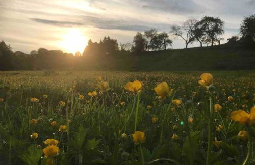 The Potting Shed - Photo 53